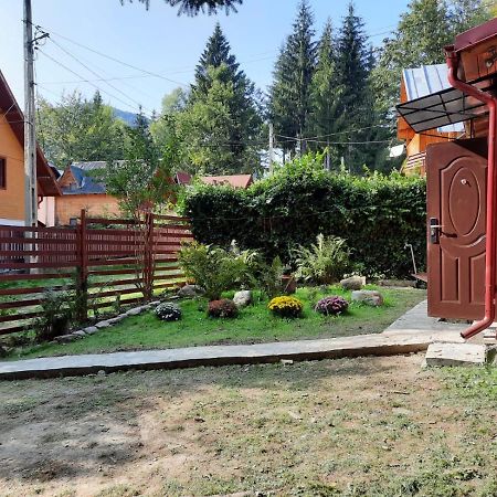 Villa Casuta Paterau Cheia, Prahova Cheia  Exterior foto