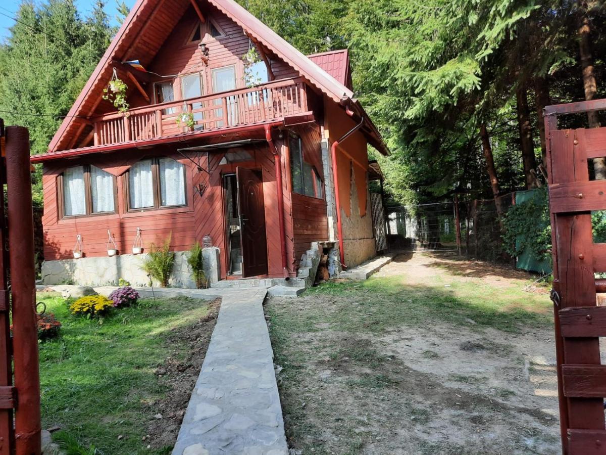 Villa Casuta Paterau Cheia, Prahova Cheia  Exterior foto